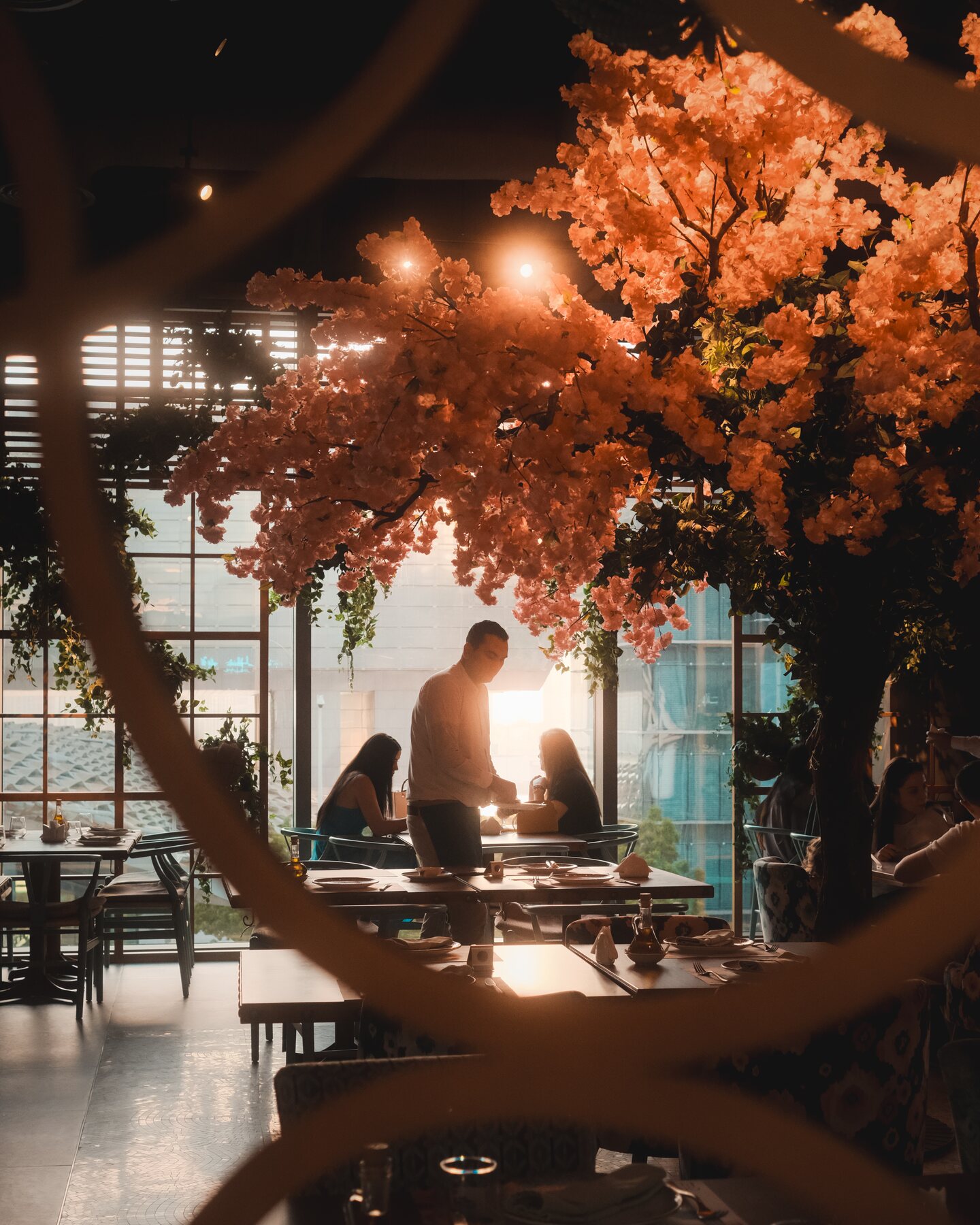 Candid restaurant scene framed through blossoming branches